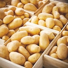 Pommes de terre de consommation blonde et/ou rouge - Netto Pommes de terre de consommation blonde et/ou rouge à 1,59 € dans le catalogue Netto