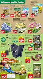 Milch Angebot & Preis im aktuellen Thomas Philipps Prospekt Milch Angebot im aktuellen Thomas Philipps Prospekt auf Seite 4