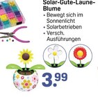 Solar-Gute-Laune-Blume von  im aktuellen Rossmann Prospekt für 3,99 €