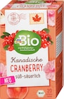 Früchtetee Kanadische Cranberry (20 Beutel) von dmBio im aktuellen dm-drogerie markt Prospekt für 1,95 €