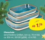 Ofenschale von  im aktuellen ROLLER Prospekt für 1,29 €