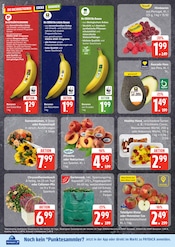 Ähnliche Gartenzaun Angebote im Prospekt "Top Angebote" von EDEKA in Wismar Ähnliche Angebote wie Gartenzaun im Prospekt "Top Angebote" auf Seite 4 von EDEKA in Wismar