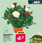Weihnachtliche Topfrosen für 4,29 € bei Netto mit dem Scottie im Angebot Weihnachtliche Topfrosen im aktuellen Netto mit dem Scottie Prospekt