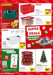 Weihnachtsbaum im hagebau kompakt Prospekt in Steinfurt Aktueller hagebau kompakt Prospekt mit Weihnachtsbaum, "Zusätzliche Rabatte sichern!", Seite 4