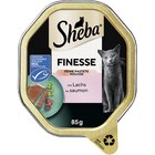 SHEBA® Finesse in Mousse mit Lachs 85 g im Angebot bei Zookauf in Willich SHEBA® Finesse in Mousse mit Lachs 85 g Angebote von Sheba bei Zookauf Willich für 0,55 €