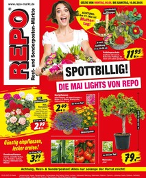 Repo Prospekt für Querfurt mit 20 Seiten Repo Prospekt für Querfurt: "Aktuelle Angebote", 20 Seiten, 05.05.2025 - 10.05.2025