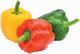 Paprika Mix im Angebot bei Markant Nordwest in Bremerhaven Paprika Mix Angebote bei Markant Nordwest Bremerhaven für 1,49 €