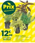 Plantes aquatiques en promo chez Truffaut Metz à 12,99 €