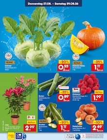 Gemüse im aktuellen Netto Marken-Discount Prospekt (Pforzheim) Gemüse im Netto Marken-Discount Prospekt "Aktuelle Angebote" mit 72 Seiten (Pforzheim)