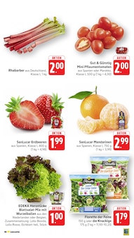 Salat im EDEKA Prospekt "Aktuelle Angebote" mit 53 Seiten (Frankfurt (Main))