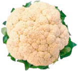 Blumenkohl von  im aktuellen EDEKA Prospekt für 1,99 €