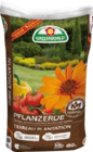Torffreie Pflanzerde Angebote von Greenworld bei Globus-Baumarkt Salzgitter für 7,77 €