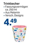 Trinkbecher Angebote von Ideenwelt bei Rossmann Fellbach für 4,49 €