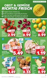 Orchidee im Kaufland Prospekt in Duisburg Aktueller Kaufland Prospekt mit Orchidee, "Aktuelle Angebote", Seite 49