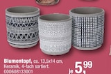 Blumentopf Angebote bei Opti-Megastore Karlsruhe für 5,99 €