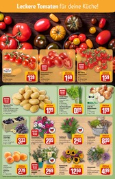 REWE Dekoration im Prospekt REWE Dekoration im Prospekt