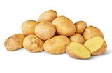 Bio-Kartoffeln bei Penny im Waren Prospekt für 1,79 €