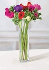 Bouquet 10 Anemones en promo chez Super U Toulon à 4,79 €