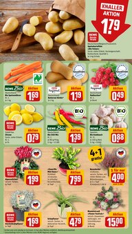 Hähnchen im aktuellen REWE Prospekt (Erlangen) Hähnchen im REWE Prospekt "Dein Markt" mit 28 Seiten (Erlangen)