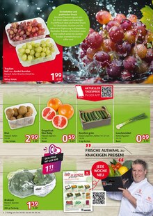 Kiwi im Selgros Prospekt "cash & carry" mit 24 Seiten (Duisburg)