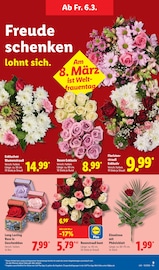 Blumen im Lidl Prospekt in Saarbrücken Aktueller Lidl Prospekt mit Blumen, "LIDL LOHNT SICH", Seite 19