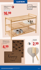 Promo Tapis D'entrée dans le catalogue Lidl du moment à la page 29
