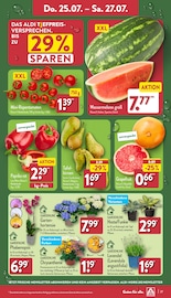 Melone Angebote im Prospekt "Aktuelle Angebote" von ALDI Nord auf Seite 27