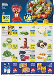 Maggi im diska Prospekt in Zwickau Aktueller diska Prospekt mit Maggi, "alles an deinem ort.", Seite 4