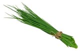 Frische Kräuter Schnittlauch oder Petersilie glatt von REWE Beste Wahl für 0,79 € bei REWE im Angebot Frische Kräuter Schnittlauch oder Petersilie glatt von REWE Beste Wahl im aktuellen REWE Prospekt