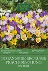 Aktuelle Krokuszwiebeln Angebote bei Pflanzen Kölle in Hamburg Aktuelles Botanische Krokusse Prachtmischung Angebot bei Pflanzen Kölle in Hamburg ab 9,99 €
