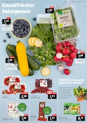 Ähnliche Kakteen Angebote im Prospekt "Preisparade" von Konsum in Dresden Ähnliche Angebote wie Kakteen im Prospekt "Preisparade" auf Seite 5 von Konsum in Dresden