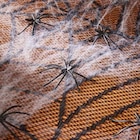 TOILE + 6 ARAIGNÉES à 0,79 € dans le catalogue Gifi