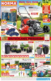 Aktueller Norma Discounter Prospekt in Birkenhof und Umgebung, "Mehr fürs Geld" mit 16 Seiten, 12.05.2025 - 17.05.2025