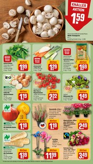 Blumen im REWE Prospekt "Dein Markt" mit 34 Seiten (Heidelberg)