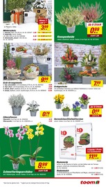 Garten im toom Baumarkt Prospekt in Freiberg Aktueller toom Baumarkt Prospekt mit Garten, "Respekt, wer's selber macht.", Seite 3