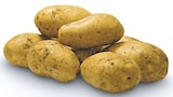 Speisekartoffeln im Angebot bei famila Nordwest in Lingen Speisekartoffeln Angebote bei famila Nordwest Lingen für 1,11 €