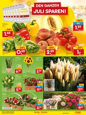 Dekoration im Netto Marken-Discount Prospekt in Nürnberg Aktueller Netto Marken-Discount Prospekt mit Dekoration, "Aktuelle Angebote", Seite 11