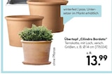 Übertopf 'Cilindro Bordato' im aktuellen Hellweg Prospekt