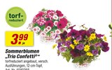 Angebot im toom Baumarkt Gelsenkirchen Prospekt toom Baumarkt Gelsenkirchen Prospekt mit im Angebot fĂŒr 3,99 âŹ