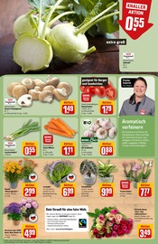 Pflanzen im REWE Prospekt in Bensheim Aktueller REWE Prospekt mit Pflanzen, "Dein Markt", Seite 9
