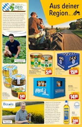 REWE Gurken im Prospekt 