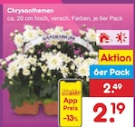 Chrysanthemen Angebote bei Netto Marken-Discount Görlitz für 2,19 €