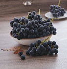 Raisin noir à U Express dans Taconnay Raisin noir à U Express dans Taconnay