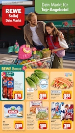 REWE Prospekt für Nürnberg mit 16 Seiten REWE Prospekt "Dein Markt" für Nürnberg, 16 Seiten, 14.07.2025 - 19.07.2025