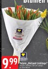 Aktuelles Tulpen Holland Lieblinge Angebot bei EDEKA in Mönchengladbach ab 9,99 €