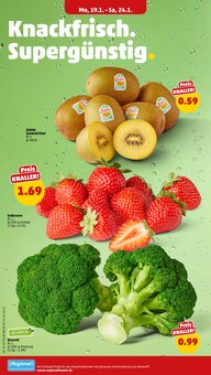 Erdbeeren im Penny Prospekt "Wer günstig will, muss Penny." mit 40 Seiten (Braunschweig)