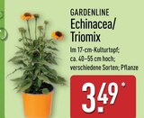 Echinacea/Triomix im Angebot bei ALDI Nord in Falkensee Echinacea/Triomix Angebote von GARDENLINE bei ALDI Nord Falkensee für 3,49 €