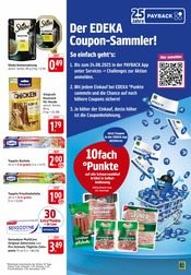 Katzenfutter im E center Prospekt in Kirchheim Aktueller E center Prospekt mit Katzenfutter, "Aktuelle Angebote", Seite 33