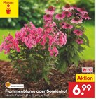 Angebot im Netto Marken-Discount Kirchen (Sieg) Prospekt Netto Marken-Discount Kirchen (Sieg) Prospekt mit im Angebot für 6,99 €