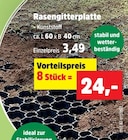 Rasengitterplatte für 24,00 € bei Thomas Philipps im Angebot Rasengitterplatte im aktuellen Thomas Philipps Prospekt